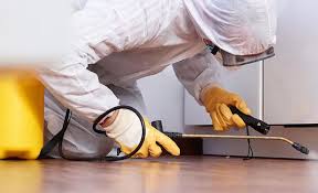 Professional Pest Control in Stratford, CA